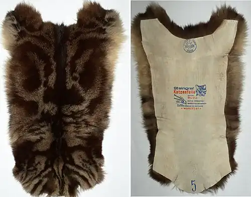 Rheumafell (Räderkatze), Haar- und gestempelte Lederseite