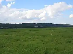 Pferdekoppeln des Gestüts Auenquelle. Blick auf Donoer Berg.