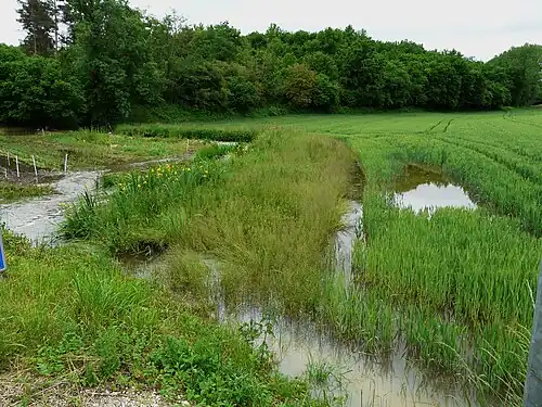 Die Donzelle unterhalb vom Moulin de Pontey