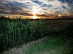 Nebensonnen bei Echzell, Hessen