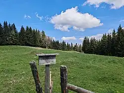 Weide am niedrigen Dorn(er)kogel