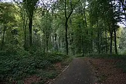 Einer der befestigten Wege im Volksgarten Lütgendortmund