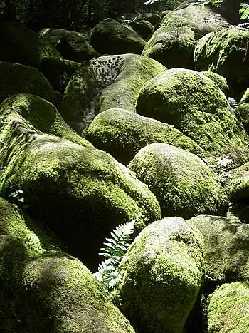 Naturschutzgebiet Doost