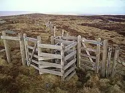 Doppeltes Kissing Gate an einer Zaunabzweigung