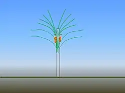 Triebverteilung bei drei Spanndrähten (schwarze Punkte)