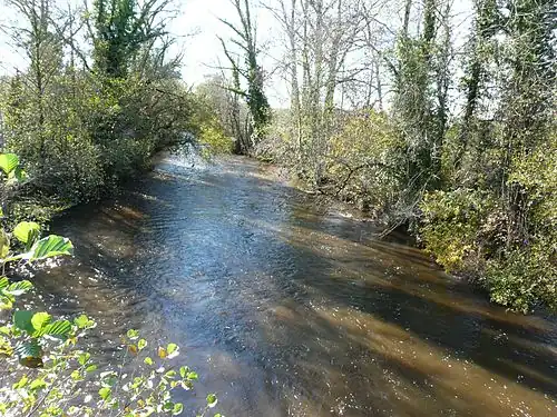 Die Dronne unterhalb des Ortskerns von Champagnac-de-Belair