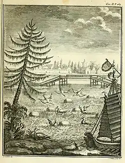 Description de la Chine et de la Tartarie chinoise, Band 2 Seite 164, 1736, Eine einzigartige Art, Wildenten zu fangen (Antoine Humblot del. / Jan Caspar Philips Sculp. dir.)