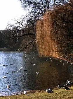 Teich Landskrone im Hofgarten (2000)