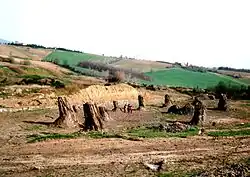 Fossiler Wald von Dunarobba