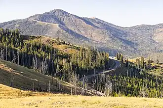 Dunraven Peak mit Grand Loop Road