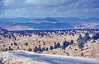 An der Grenze zum trockenen Inneranatolien überziehen lichte Wacholderwälder südöstlich des Suğla-Sees weite Teile des Eşenler-Dağı-Massivs, der östlichsten Flanke der Kurve von Isparta.