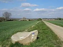 Markierung des Fernwanderwegs E3 Atlantik – Ardennen – Böhmerwald bei Münzenberg, zugleich Jakobsweg Region Vogelsberg