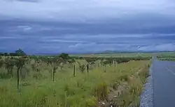 Straße R63 bei Middledrift im ehemaligen Homeland Ciskei, Blick nach Norden