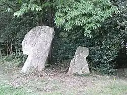 Pierre du Coq et la Poule (links der Hahn, rechts das Huhn)