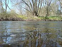 An der unteren Eder zwischen Fritzlar und Wabern