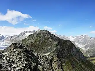 Eggishorn von Südwesten