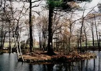 Wasserburg Abtei Thierfeld, Wassergraben und Insel