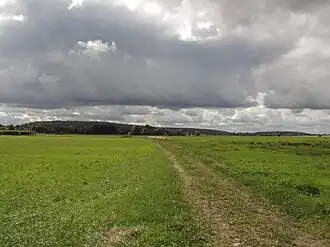 Der bewaldete Stauchmoränenkomplex Eichberg, Schwarzer Berg und Gallberg