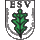 Eichholzer SV