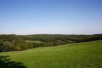 Blick von der Eichwiese über das Gütenbachtal auf den Wilden Berg
