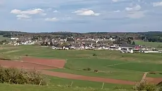 Wiesbaum mit Eifellandschaft