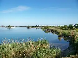 Ostufer des Sees auf Doberschützer Gemeindegebiet (2012)