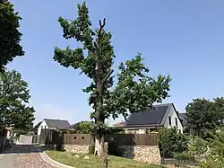 … und von Osten (2021)