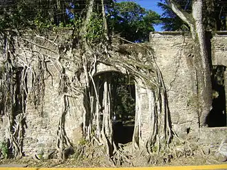 Der von Baumwurzeln überwucherte Eingang zur Casa de Cortés