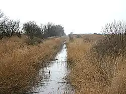Einser-Kanal bei Pamhagen im Februar 2007