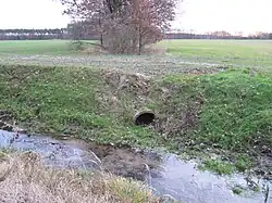 Einmündung des Abfluss des Kranepfuhls