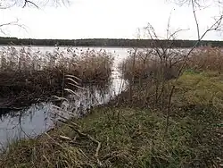 Die Mündung in die Havel