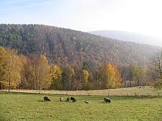 Der Eisenstein bei Aue vom Bärengrund aus gesehen. Rechts im Hintergrund der Burkhardtswald bei Lauter (Sachsen).
