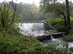 Anstau Eisweiher Fischbach (Oktober 2010)