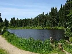 Eisweiher bei Titisee (Juni 2014)