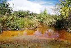 Die Thermalquelle El Pandeño im Municipio Julimes