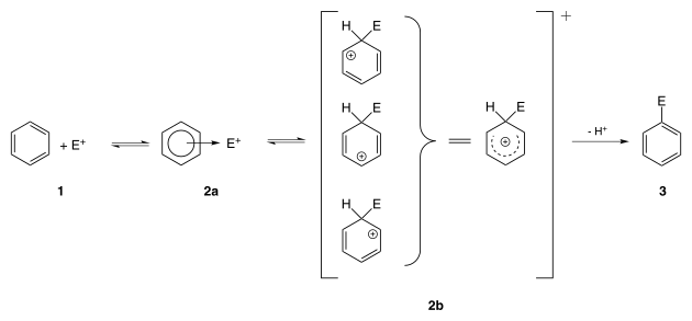 Mechanismus der elektrophilen aromatischen Substitution