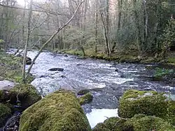 Der Fluss Ellé an der Gemeindegrenze