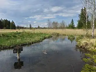 Ellbach bei Bad Tölz