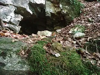 Portal des Elsachbröllers