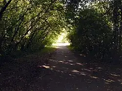 Zwischen Kleindalzig und Zitzschen