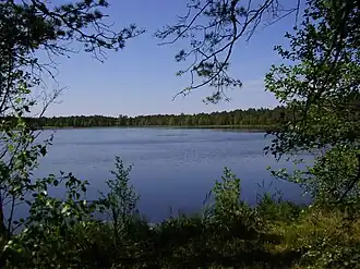 Männikjärve-See