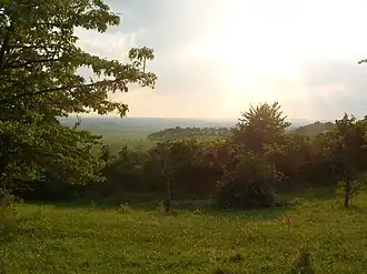 Blick ins Thüringer Becken vom Beichlinger Kirschberg (Herrschaftswege am Schloss)