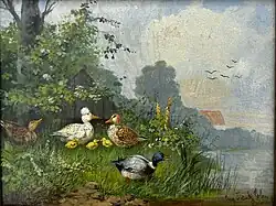 Charakterstudie Enten