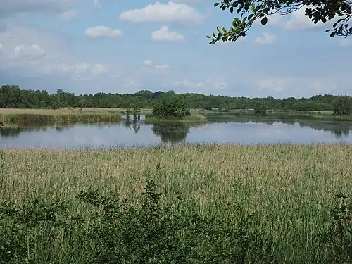 Großer Teich