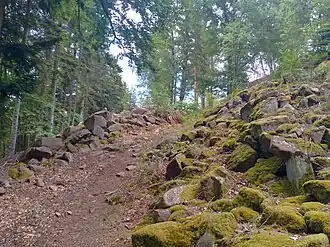 Die Befestigungsanlage auf dem Purpurkopf