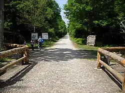 Naturschutzgebiet Bosco Fontana