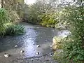 Zusammenfluss der beiden Breitstrom-Arme hinter einer Insel