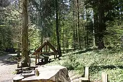 Erholung im Wald