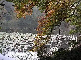 Ernst-Ludwig-Teich (2008)