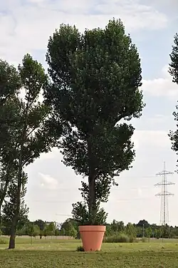 Versatzstück (2009) – Eschborn